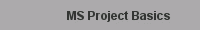MS Project Basics
