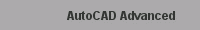 AutoCAD Advanced